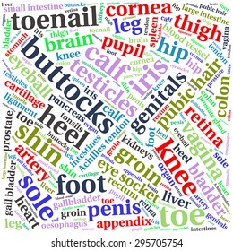 The human body tag word cloud background.