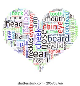 The human body tag word cloud background.