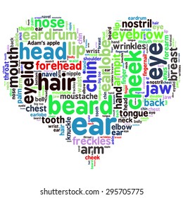 The human body tag word cloud background.