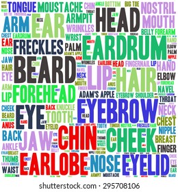 The human body tag word cloud background.