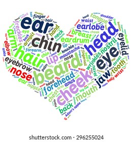The human body tag word cloud background.