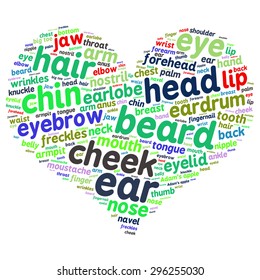 The human body tag word cloud background.