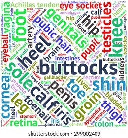 The human body tag word cloud background.