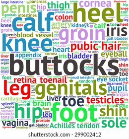 The human body tag word cloud background.