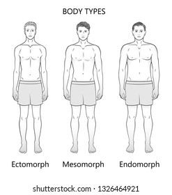 Male Body Type Cartoon Vector Stock Vector (Royalty Free) 1980372584