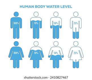 Ilustración del cuerpo humano y el nivel del agua. Vector de nivel de agua para hombres y mujeres