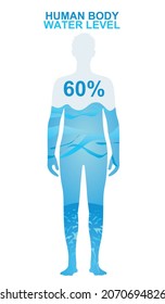 Human body water level. vector