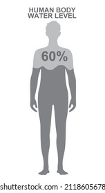 Nivel de agua corporal humana. vector