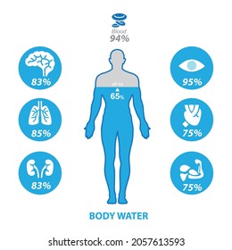 488 Human body h2o Images, Stock Photos & Vectors | Shutterstock