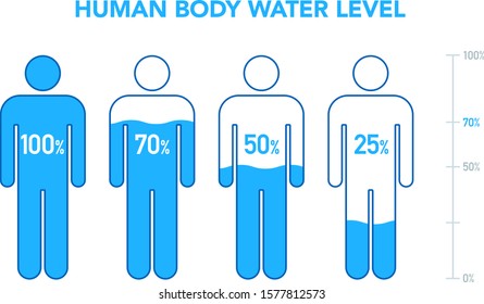 Body Water Percentage Chart