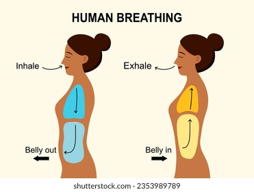 Human body when breathe in and breathe out in flat design.