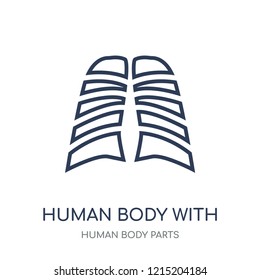 Human body with x ray plate focusing on stomach icon. Human body with x ray plate focusing on stomach linear symbol design from Human Body Parts collection.