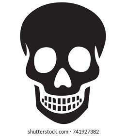Human Bone