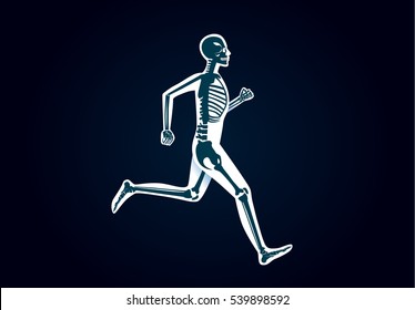 Human Bone Anatomy while run. Illustration about human physical and sport.