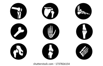 Human bone ,cartilage and joint icon set 