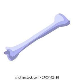 Das menschliche Knochenmark spendet das Symbol. Isometric of human bone donate Vektorillustration Symbol für Webdesign einzeln auf weißem Hintergrund