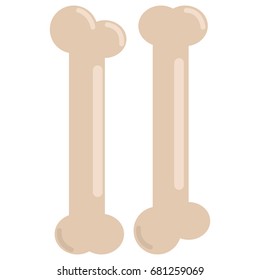Human bone icon, vector illustration flat style design isolated on white. Colorful graphics