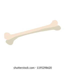 human bone isolated icon