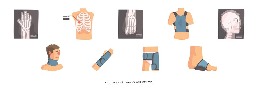 Human Bone and Joint Fracture and Rehabilitation Object Vector Set