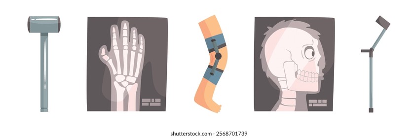 Human Bone and Joint Fracture and Rehabilitation Object Vector Set