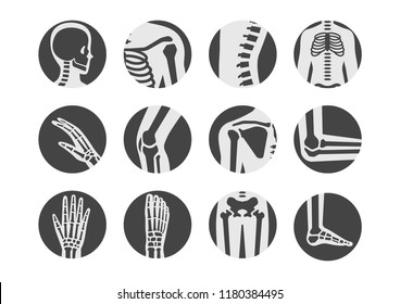 Human Bone And Joint Icon Set