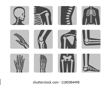 human bone and joint icon set