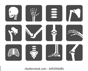 human bone and joint icon set