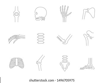 human bone and joint icon set, thin line design