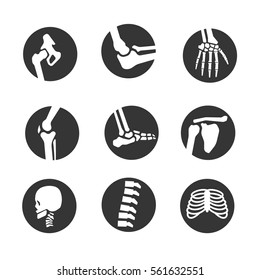 human bone and joint icon set