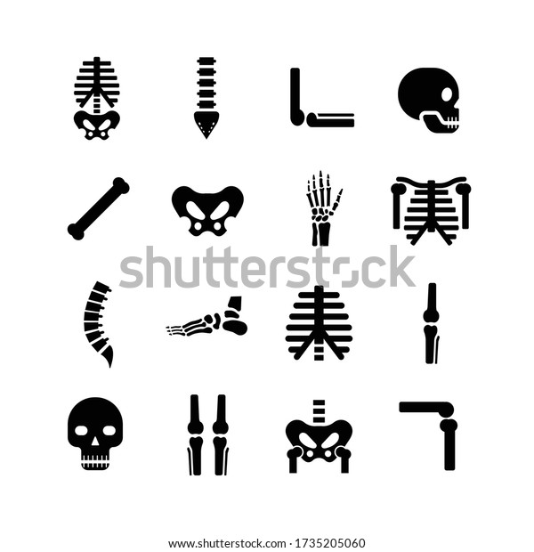 Human Bone Joint Icon Set Stock Vector (Royalty Free) 1735205060 ...