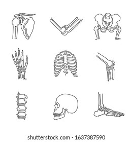 human bone and joint single continuous line drawing style icon set