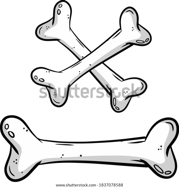 Human Bone Set Skeleton Elements Crossed Stock Vector (Royalty Free ...