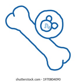 human bone sketch icon vector. Hand drawn blue doodle line art human bone sign. isolated symbol illustration
