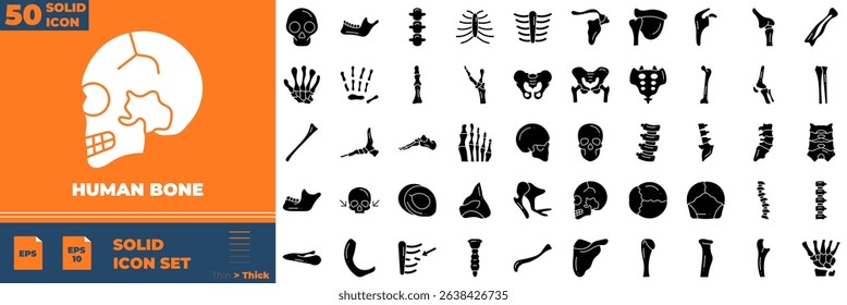 Human Bone Solid Editable Icons set. Vector illustration in modern thin solid style of human bone icons: joint, orthopedic, skeleton, etc