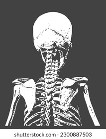 Human Bones with Black and White Color
