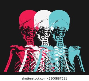 Human Bones with Black and White Color