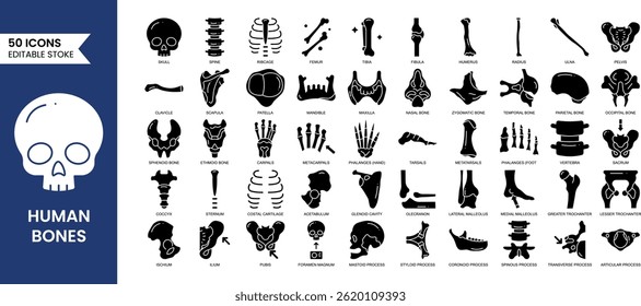 Human Bones editable icon set in solid style. Includes skull, spine, ribcage, sacrum, fibula and more. Vector illustration