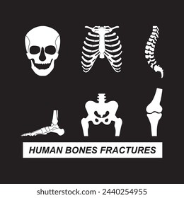 Human bones fractures icon vector symbol design