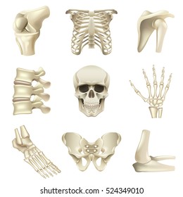 Human bones icons detailed photo realistic vector set