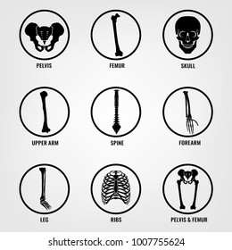 Human bones icons. Medical set. Vector illustration in black color isolated on a light grey background.