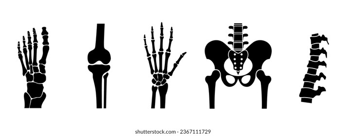 Hueso y articulaciones humanas. Esquema de pies, muñeca, columna vertebral, cadera y rodilla. Humerus, tibia, fibula, pelvis y ulna. Examen, diagnóstico y tratamiento del cuerpo humano. Baner para la educación vector médico