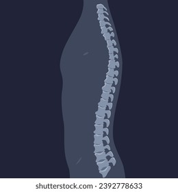 Human bones orthopedic and skeleton icon, bone x-ray image of human joints, anatomy skeleton flat design vector illustration