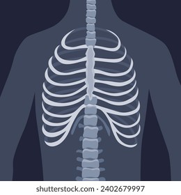 Human bones orthopedic and skeleton icon, bone x-ray image of human joints, anatomy skeleton flat design vector illustration