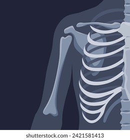 Human bones orthopedic and skeleton icon, bone x-ray image of human joints, anatomy skeleton flat design vector illustration