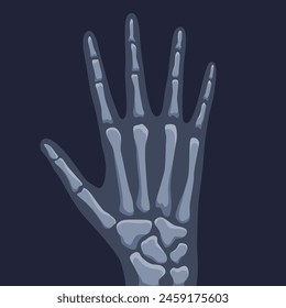 Human bones orthopedic and skeleton icon, bone x-ray image of human joints, anatomy skeleton flat design vector illustration