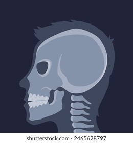 Human bones orthopedic and skeleton icon, bone x-ray image of human joints, anatomy skeleton flat design vector illustration