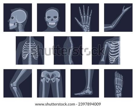 Human bones orthopedic and skeleton icon set, bone x-ray image of human joints, anatomy skeleton flat design vector illustration