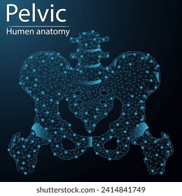 Human bones of the pelvis and hip anatomy organ translucent low poly triangle futuristic glowing. On dark blue background. Skeleton system disease medical innovation concept.