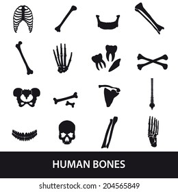 human bones set of icons eps10