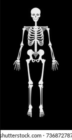 Human bones skeleton silhouette collection set. High detailed illustration.